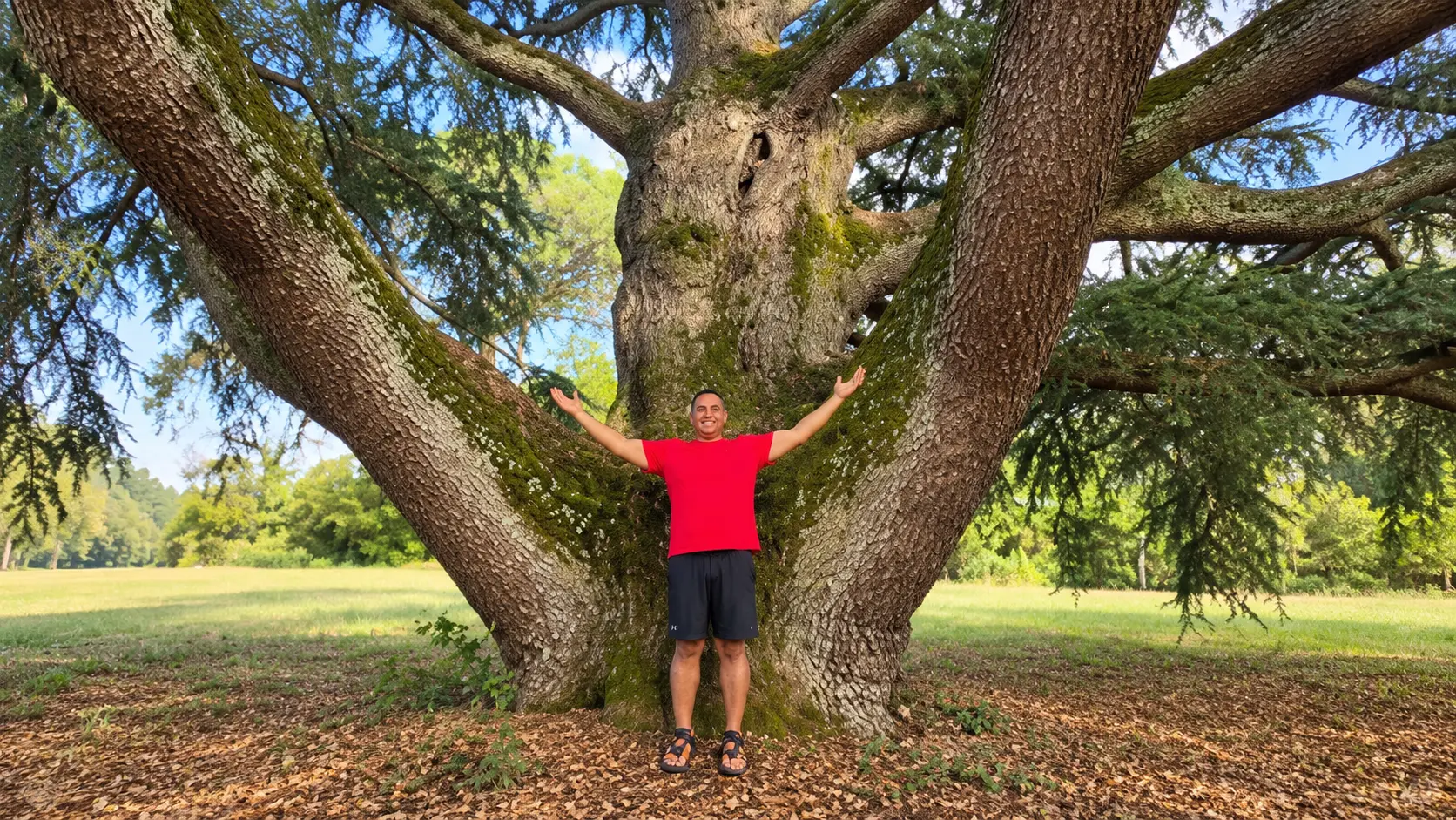 Brian standing outdoors in front of a large tree with his arms raised, smiling